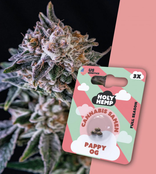 Holy Hemp Pappy OG - Cali Seeds 3 x Samen