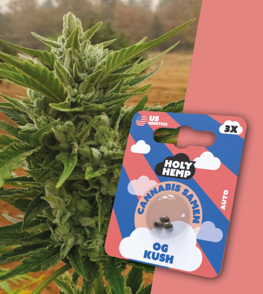 Holy Hemp OG Kush - Cali Seeds 3 x Samen