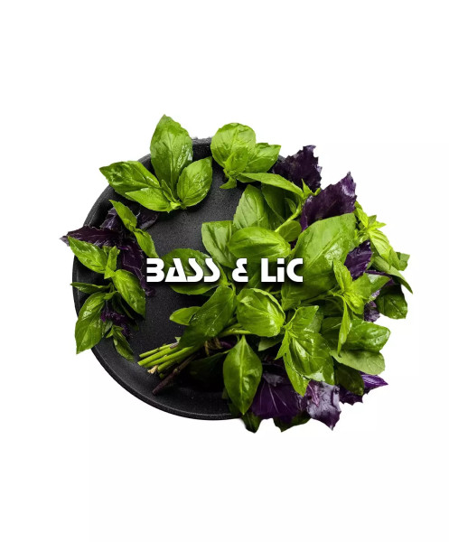 Black Burn Bass&Lic 100 g