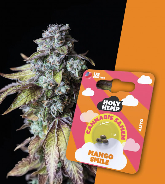 Holy Hemp Mango Smile - Cali Seeds 3 x Samen