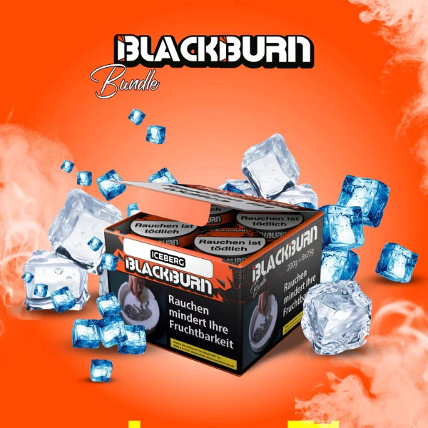 Black Burn Bundle Iceberg 8x25 g